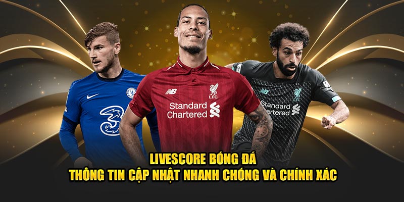 Livescore bóng đá thông tin cập nhật nhanh chóng và chính xác