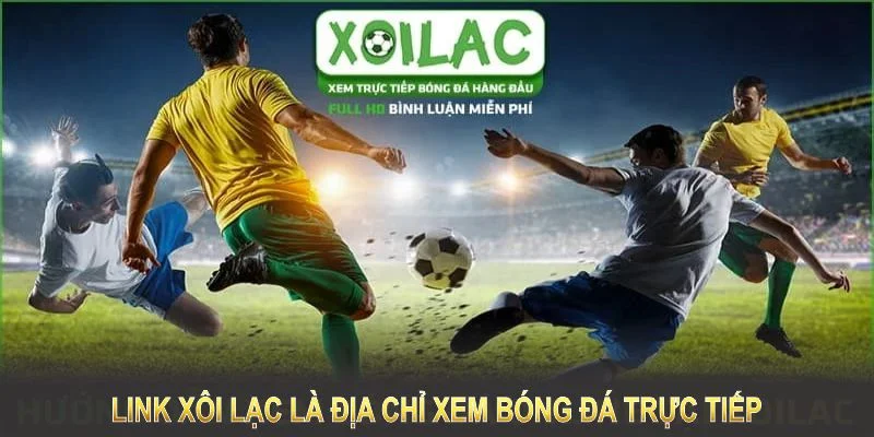 Link Xôi Lạc là địa chỉ xem bóng đá trực tiếp hàng đầu hiện nay